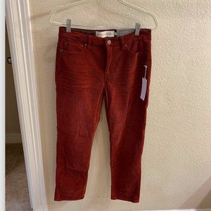 Soft Surroundings Red Corduroy Pants, Size 6P, New with Tags